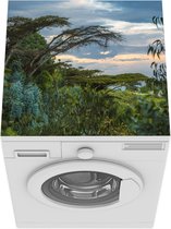 Wasmachine beschermer mat - Bomen en bossen met blauwe planten aan de zee in Ethiopië - Breedte 60 cm x hoogte 60 cm