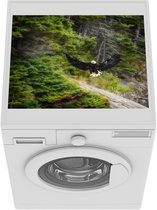 Wasmachine beschermer mat - Zeearend op Kaap Breton - Breedte 55 cm x hoogte 45 cm