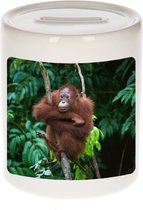 Dieren orangoetan foto spaarpot 9 cm jongens en meisjes - Cadeau spaarpotten orangoetan apen liefhebber