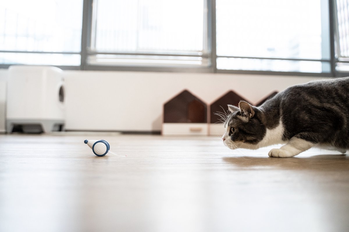 Robocat muis grijs oplaadbaar/beweegt, katten speeltjes