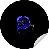 Muursticker Purple Rose