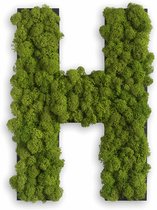 Stylegreen Alfabet letters A t/m Z - Reindeer moss - 25cm