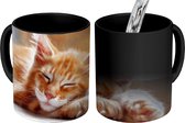 Magische Mok - Foto op Warmte Mok - Oranje Maine coon kat ligt in de vensterbank - 350 ML - Uitdeelcadeautjes