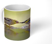Mok - Vogelbad - Water - Vogel - 350 ML - Beker - Uitdeelcadeautjes