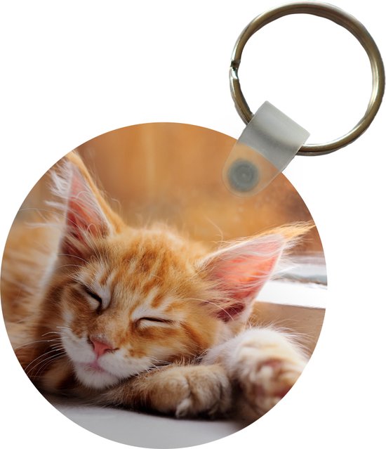 Porte-clés Chat Maine Coon En Verre - Design Rond, Impression UV Colorée - Cadeau Personnalisé Pour Amoureux Des Chats