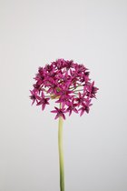 Kunstbloem Allium - topkwaliteit decoratie - Fuchsia - Cerise - zijden tak - 74 cm hoog