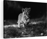 Artaza Canvas Schilderij Jonge Baby Leeuw in het Wild - Welp - Zwart Wit - 120x80 - Groot - Foto Op Canvas - Wanddecoratie