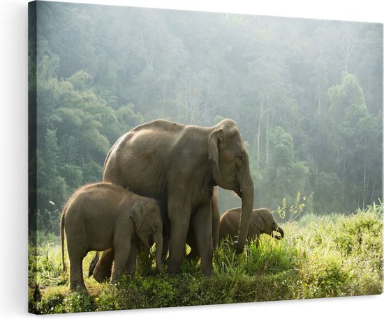 Artaza Canvas Schilderij Olifanten Familie in de Jungle - Olifant - Foto Op Canvas - Canvas Print