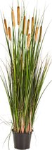Grass Cattail - kunstplant