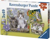 Puzzel 3x49 stukjes Katten