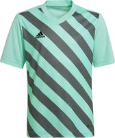 adidas - Entrada 22 GFX Jersey - Kids Shirt-116