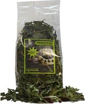 Komodo Landschildpad Fruitmix 80 gram