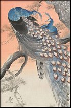 Walljar - Ohara Koson - Two Peacocks On Tree Branch - Muurdecoratie - Poster met lijst