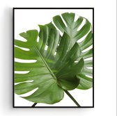 Poster 2 Botanische tropische groene bladeren gekruist / Planten / Bladeren / 30x21cm