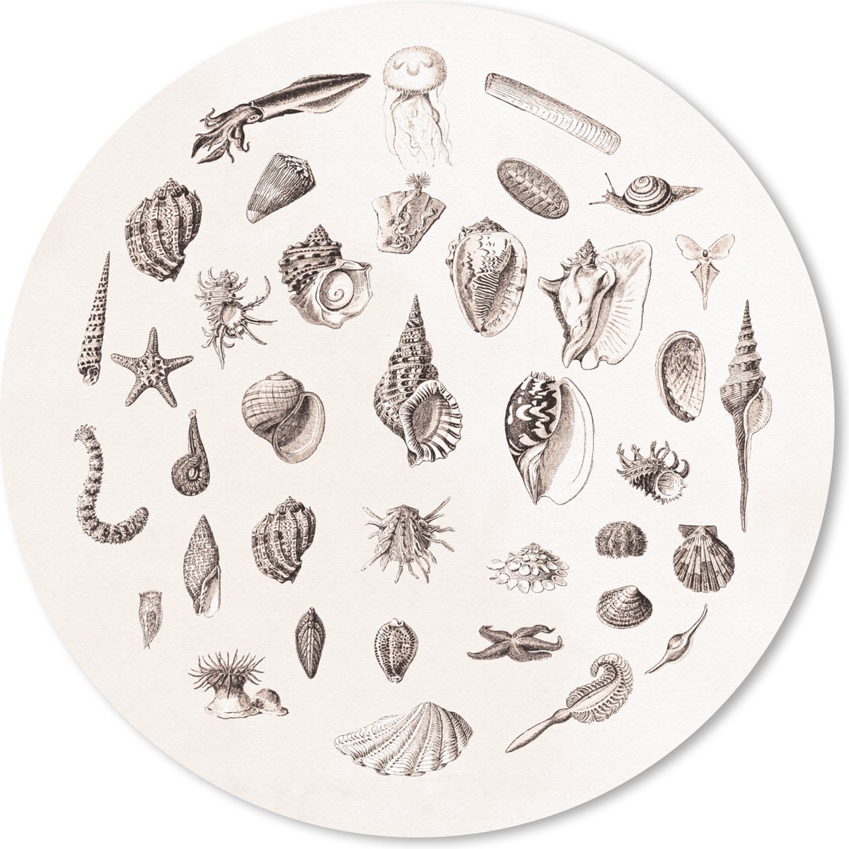 Muismat rond 20x20 cm - Mousepad Zeedieren - Schelpen - Octopus - Ronde muismatten