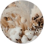 Label2X - Muurcirkel cotton flower - Ø 12 cm - Dibond - Multicolor - Wandcirkel - Rond Schilderij - Muurdecoratie Cirkel - Wandecoratie rond - Decoratie voor woonkamer of slaapkame