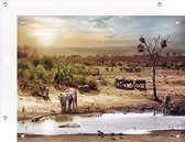 Tuinposter Savanne Landschap Wildlife - Tuindecoratie - 150 x 90 cm - Tuindoek - PosterGuru