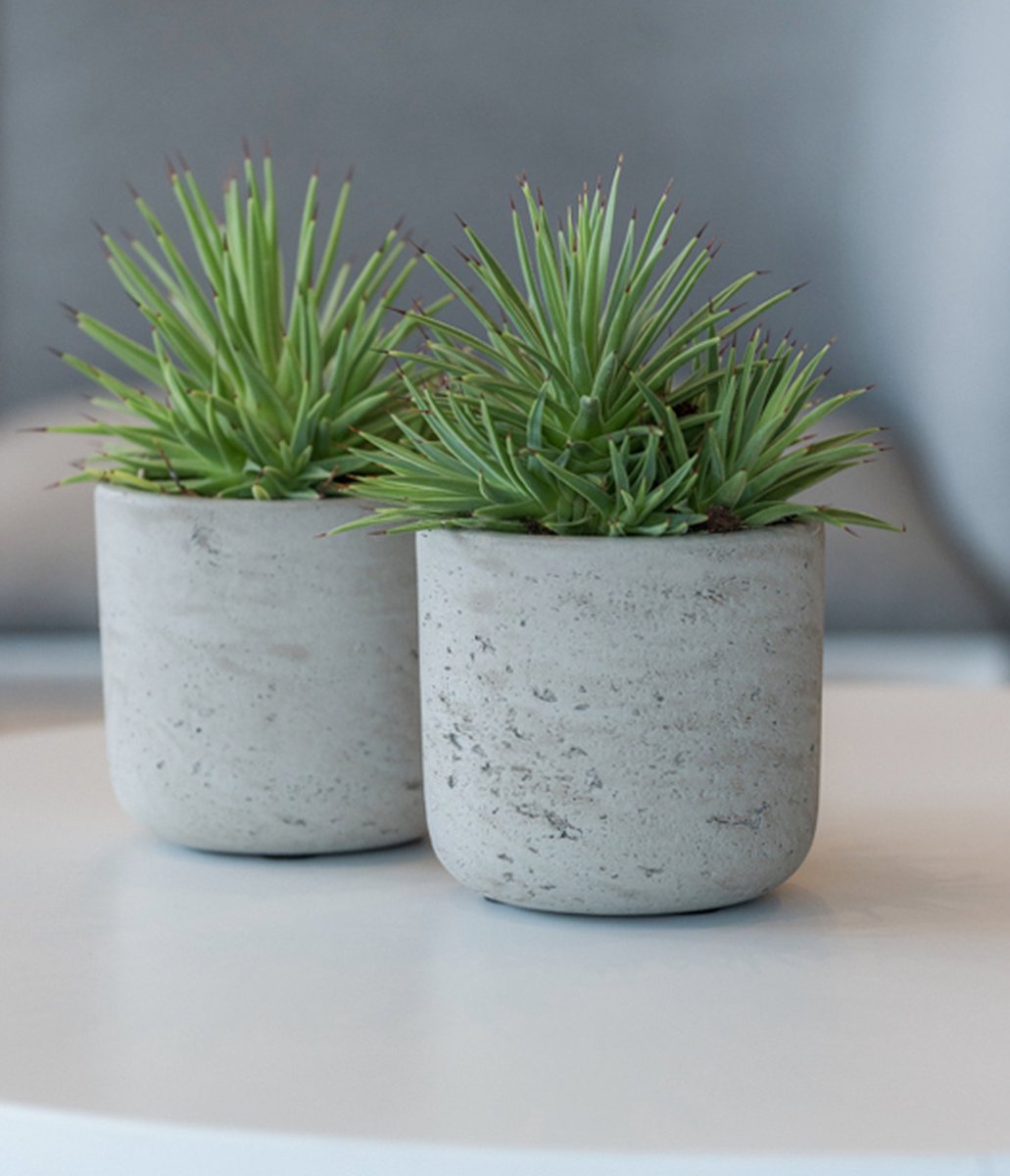 Pottery Pots Flower Pot - Grey - D32 x H31 cm - Opening 30 cm