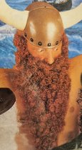 viking baard en snor rood