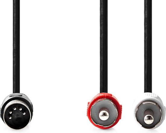 DIN 5-Pins Male | 4x RCA Female | Vernikkeld | 0.20 m