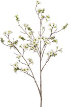 Kunstbloem Manuka beige 105 cm