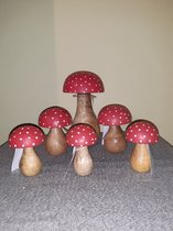 Set van 6 houten paddenstoelen