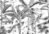 Komar Croissances Monochrome Vlies Fotobehang 400x280cm 8-Banen