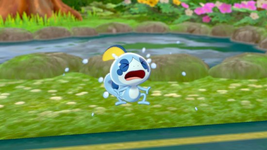 Een blauw Pokémon spuwt water in een grasrijke omgeving bij een vijver.