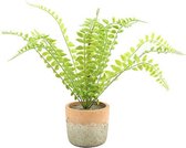 kunstplant Pteropsida 12 x 12 x 30 cm groen