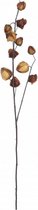 decoratietak lampionplant 94 cm bruin