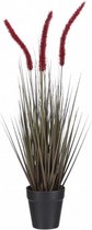 kunstbloem Dogtail 53 cm rood/groen