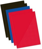 schriften A4 geruit 29,7 cm zwart/blauw/rood 5 stuks