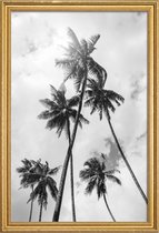 JUNIQE - Poster met houten lijst Palme Bounty -30x45 /Grijs & Wit