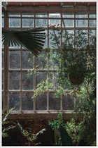 JUNIQE - Poster met kunststof lijst The Tropical Glasshouse -20x30