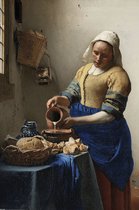 Johannes Vermeer Het Melk Meisje