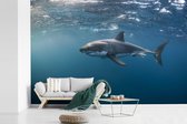 Behang - Fotobehang Grote witte haai - Breedte 330 cm x hoogte 220 cm