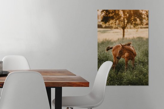 Quarter horse poulain regarde 40x60 cm - Tirage photo sur toile (Décoration murale salon / chambre) / Peintures sur toile Mammifères