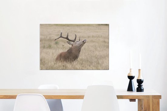 Cerf avec la tête en l'air toile 2cm 60x40 cm - Tirage photo sur toile peinture (Décoration murale salon / chambre) / animaux sauvages Peintures sur toile