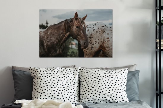 Appaloosa regarde la caméra 60x40 cm - impression photo sur toile (peinture Décoration murale salon / chambre à coucher) / Mammifères toile Peintures