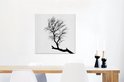 Image du produit 14
