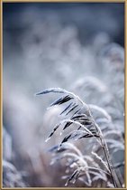 JUNIQE - Poster met kunststof lijst Frosty Morning 5 -20x30 /Blauw &