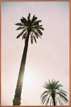 JUNIQE - Poster met kunststof lijst Palm Trees -20x30 /Roze