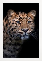 JUNIQE - Poster met houten lijst Waiting to Pounce -13x18 /Geel &
