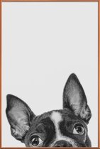 JUNIQE - Poster met kunststof lijst French Bulldog II -13x18 /Grijs &