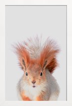 JUNIQE - Poster in houten lijst Red Squirrel -20x30 /Grijs & Oranje