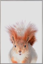 JUNIQE - Poster met kunststof lijst Red Squirrel -60x90 /Grijs &