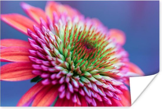 Image macro d'une fleur rose et violette avec un coeur rouge et vert 120x80  cm /... | bol.com