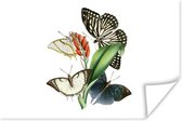 Poster Bloemen - Vlinder - Wit - 60x40 cm