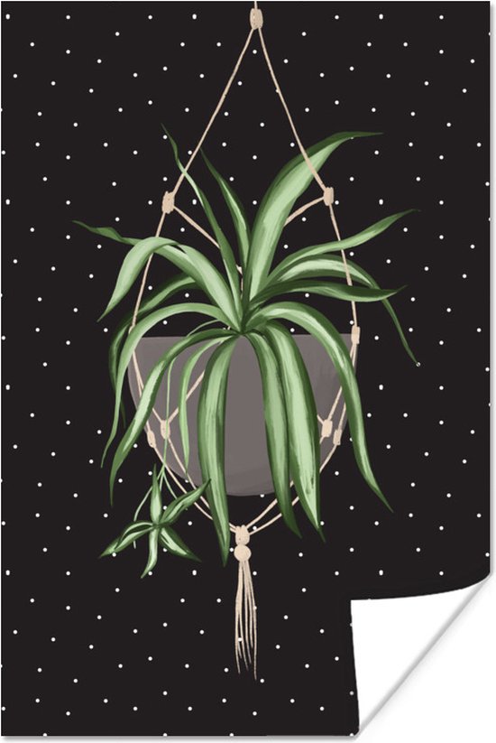 Illustratie van een hangplant op een zwarte achtergrond met witte stippen 20x30 cm - klein - Foto print op Poster (wanddecoratie woonkamer / slaapkamer)