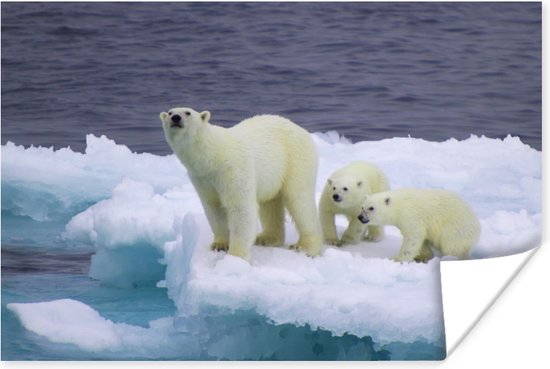 IJsbeer met twee jongen op ijsberg 180x120 cm XXL / Groot formaat! - Foto print op Poster (wanddecoratie woonkamer / slaapkamer)